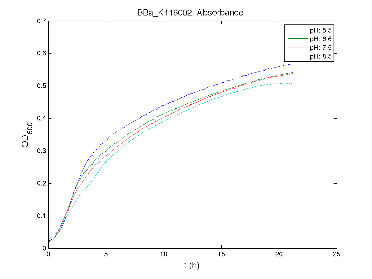BBa K116001 Absorbance exp4.png
