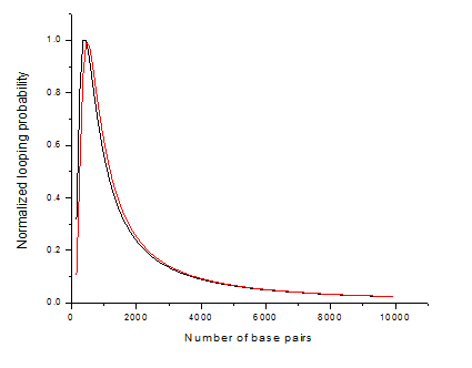 Fig.1 Normalized looping probability of DNA vs number of base pairs between the cites of interest