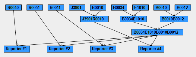 Assembly graph for reporter family construction.