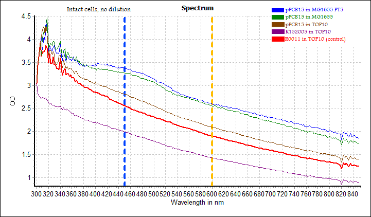 Absorbance spectrum of intact cells