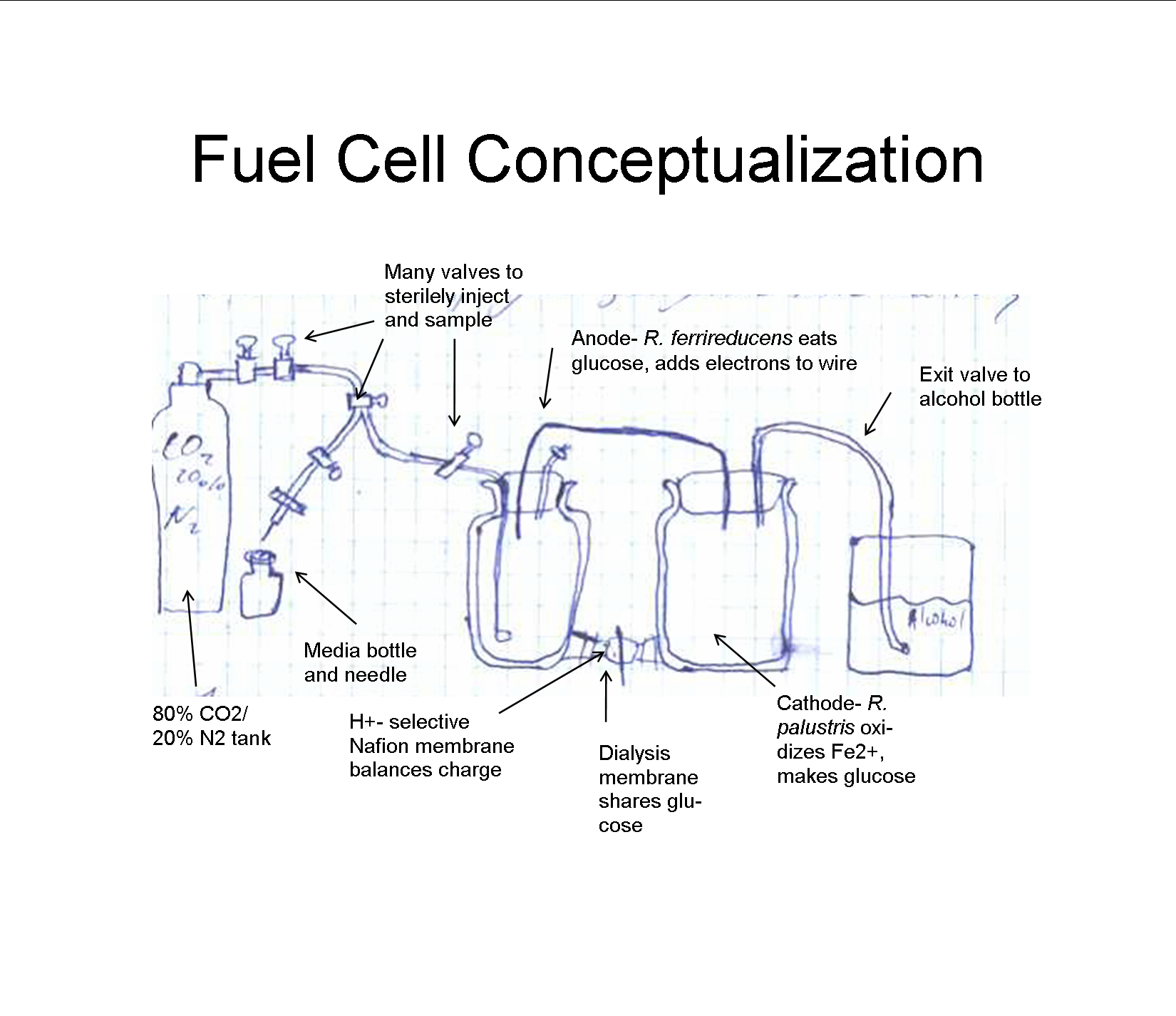 Fuel Cell Conceptualization.png