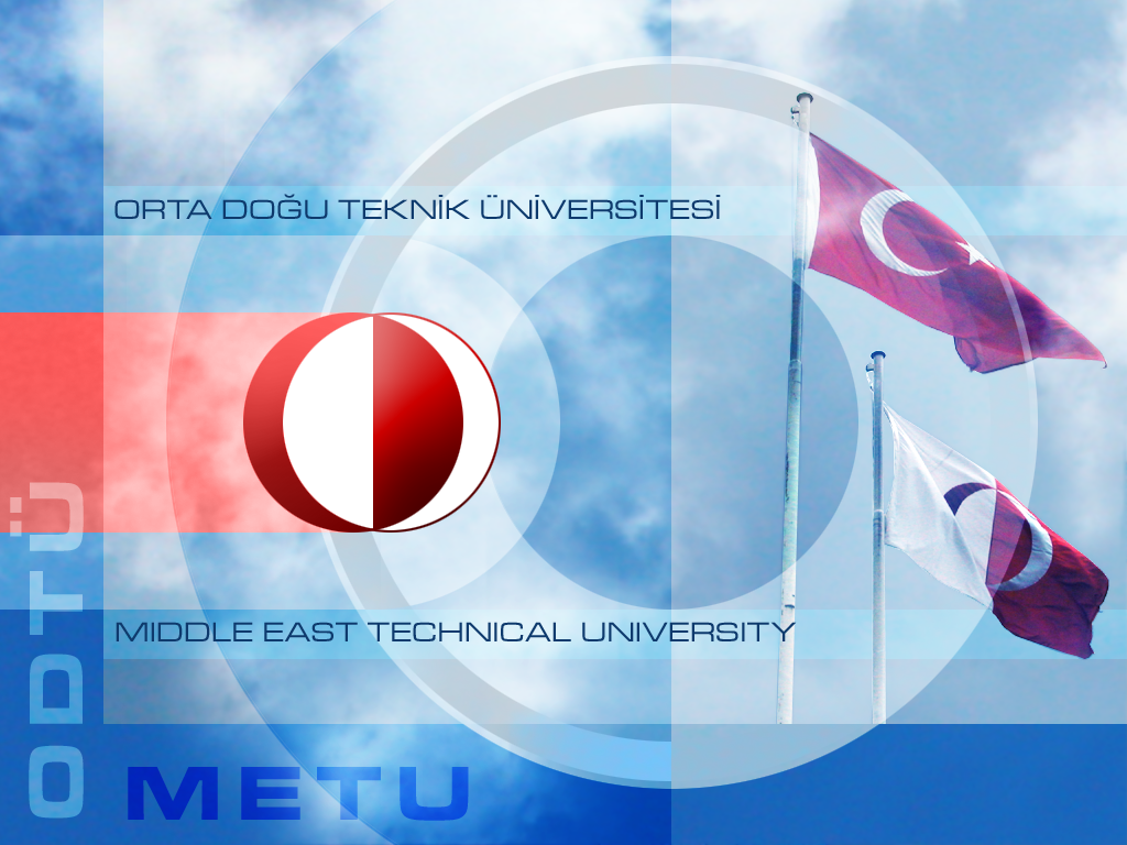 Middle East Technical University