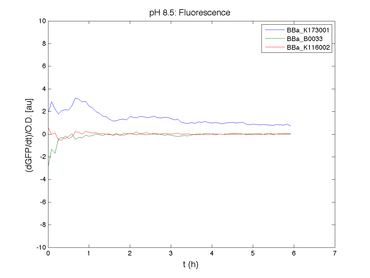 PH 85 Fluorescence exp1.png