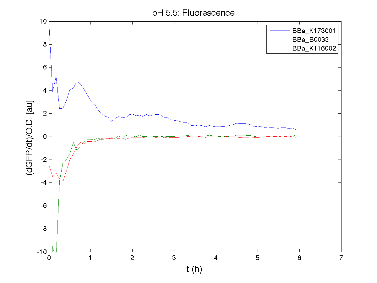 PH 55 Fluorescence exp1.png