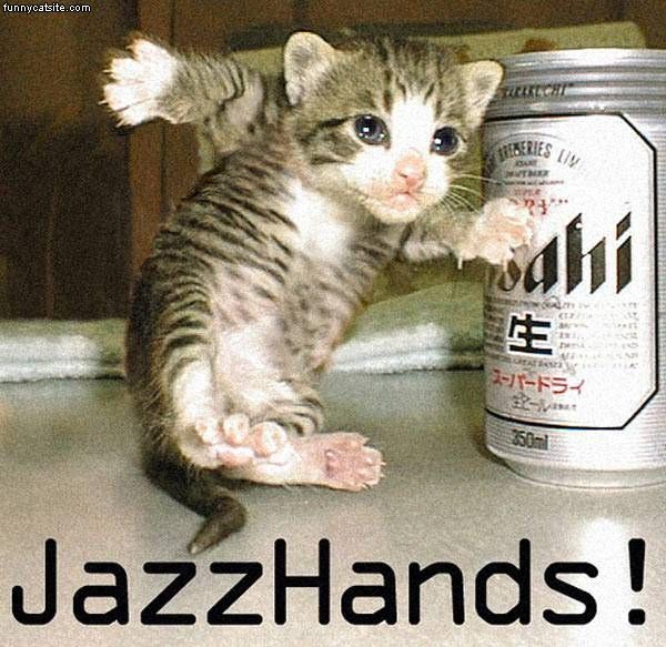 Jazz Hands Cat.jpg
