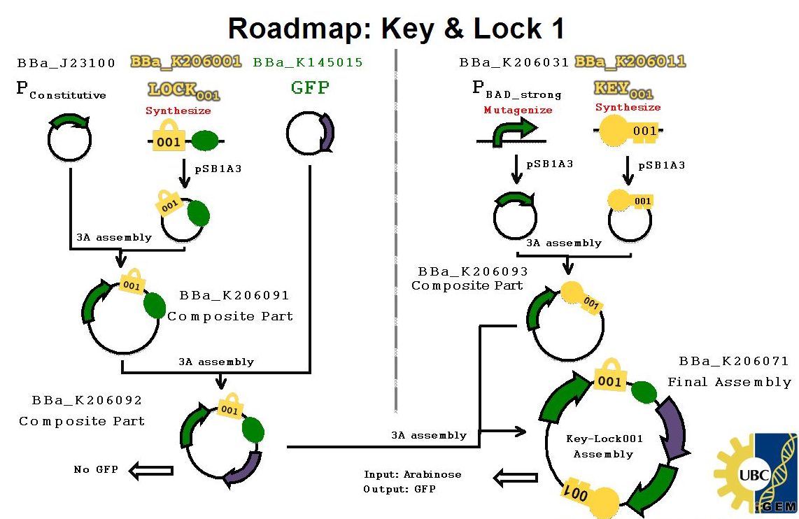 UBC2009-Key-lock roadmap.jpg