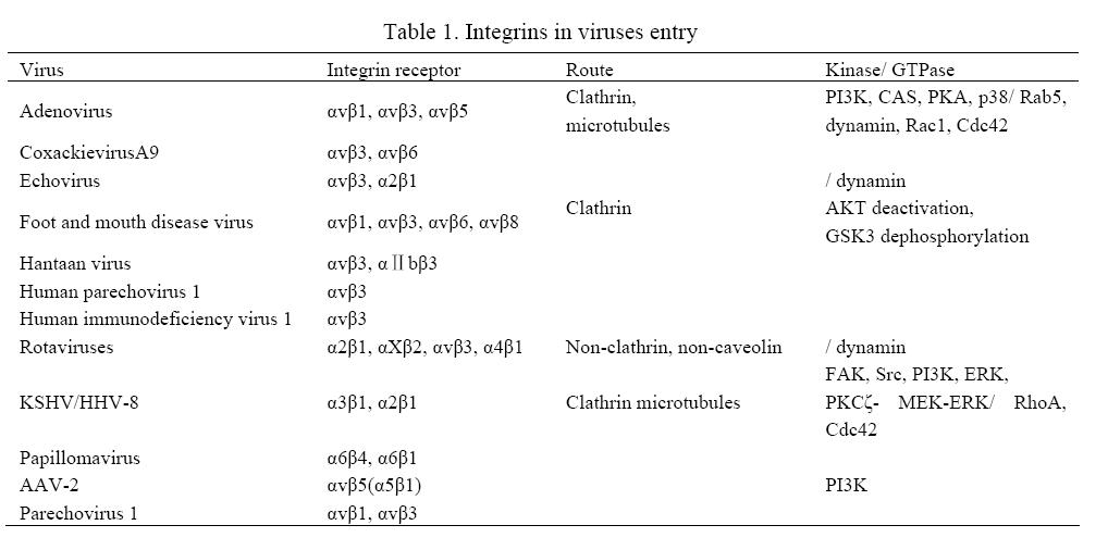 Table of integrin in viruses entry.JPG