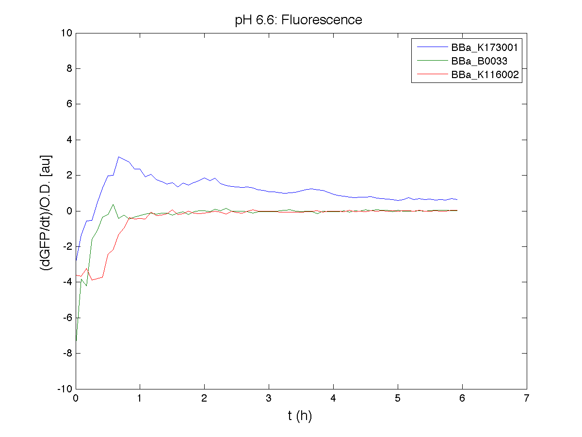 PH 66 Fluorescence exp1.png
