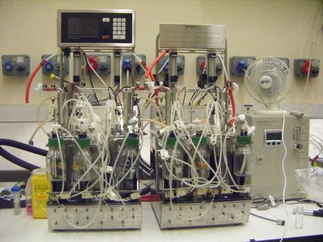 UCL London Bioreactor.JPG