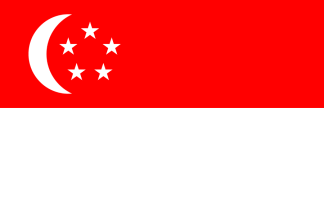 Team Newcastle Singapore.png