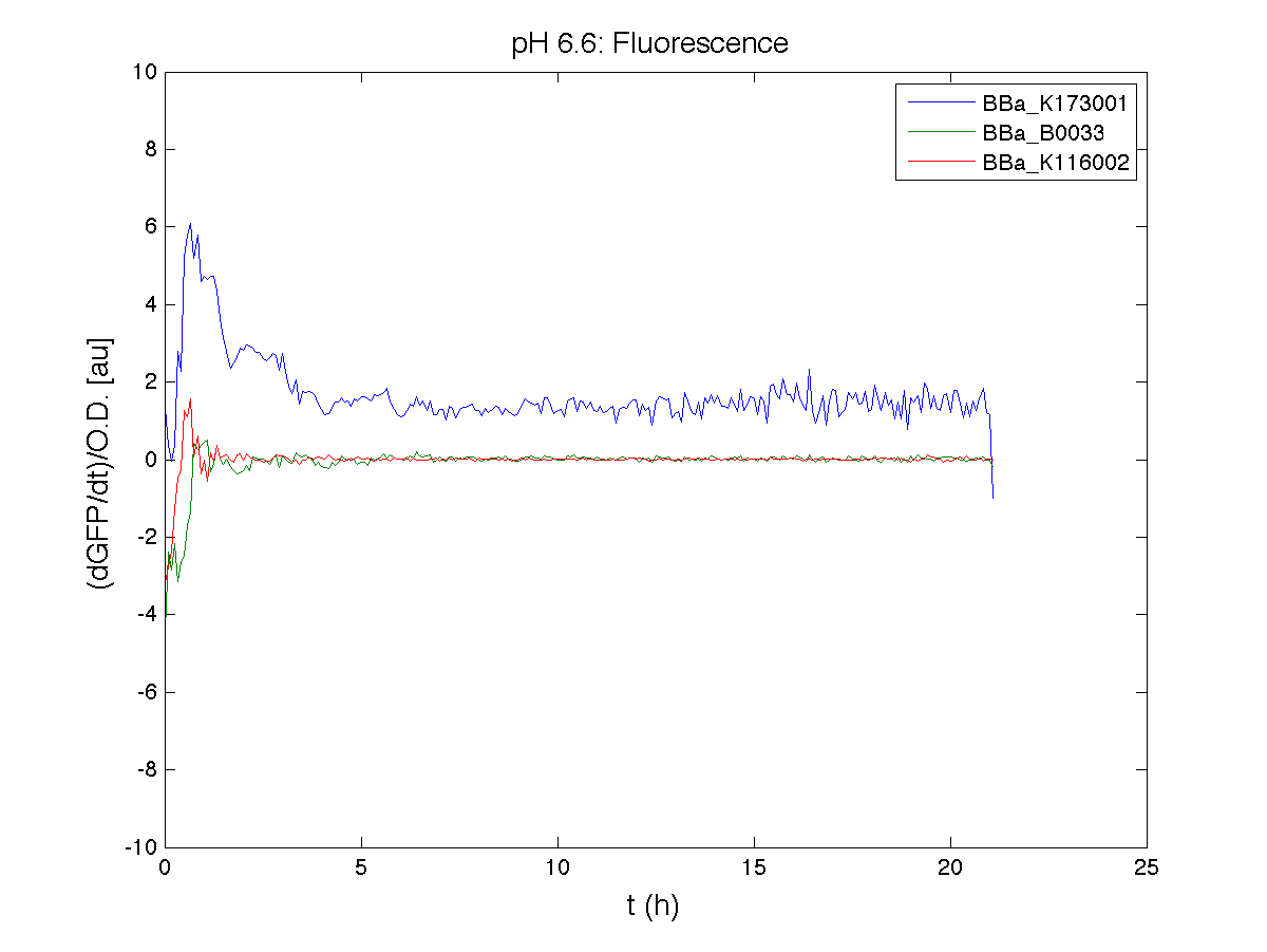 PH 66 Fluorescence exp4.png