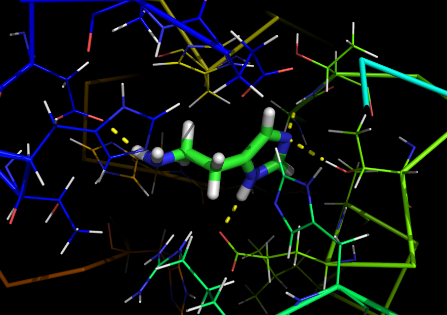 Ligandbindingprotein.png