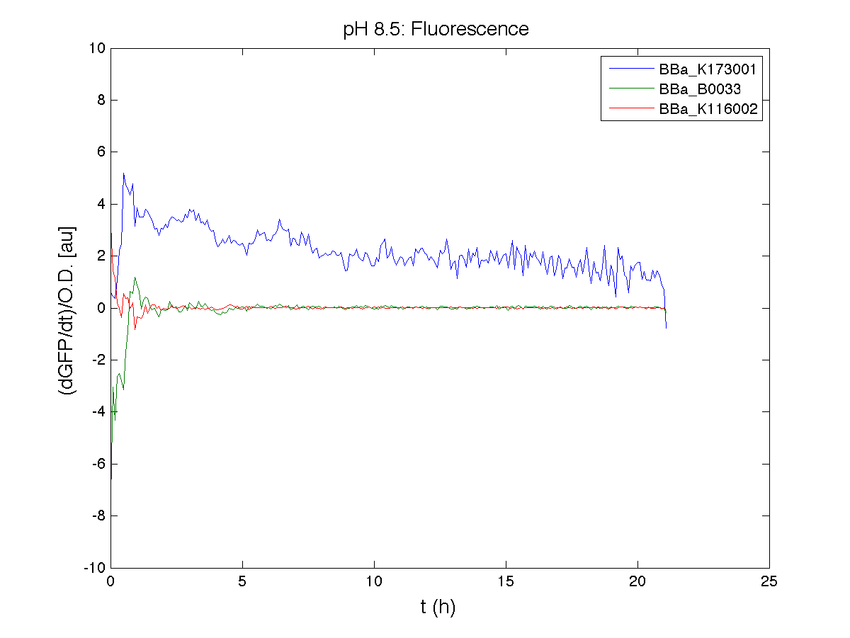 PH 85 Fluorescence exp4.png