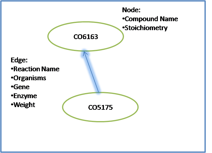 This shows the information stored at the node and edge