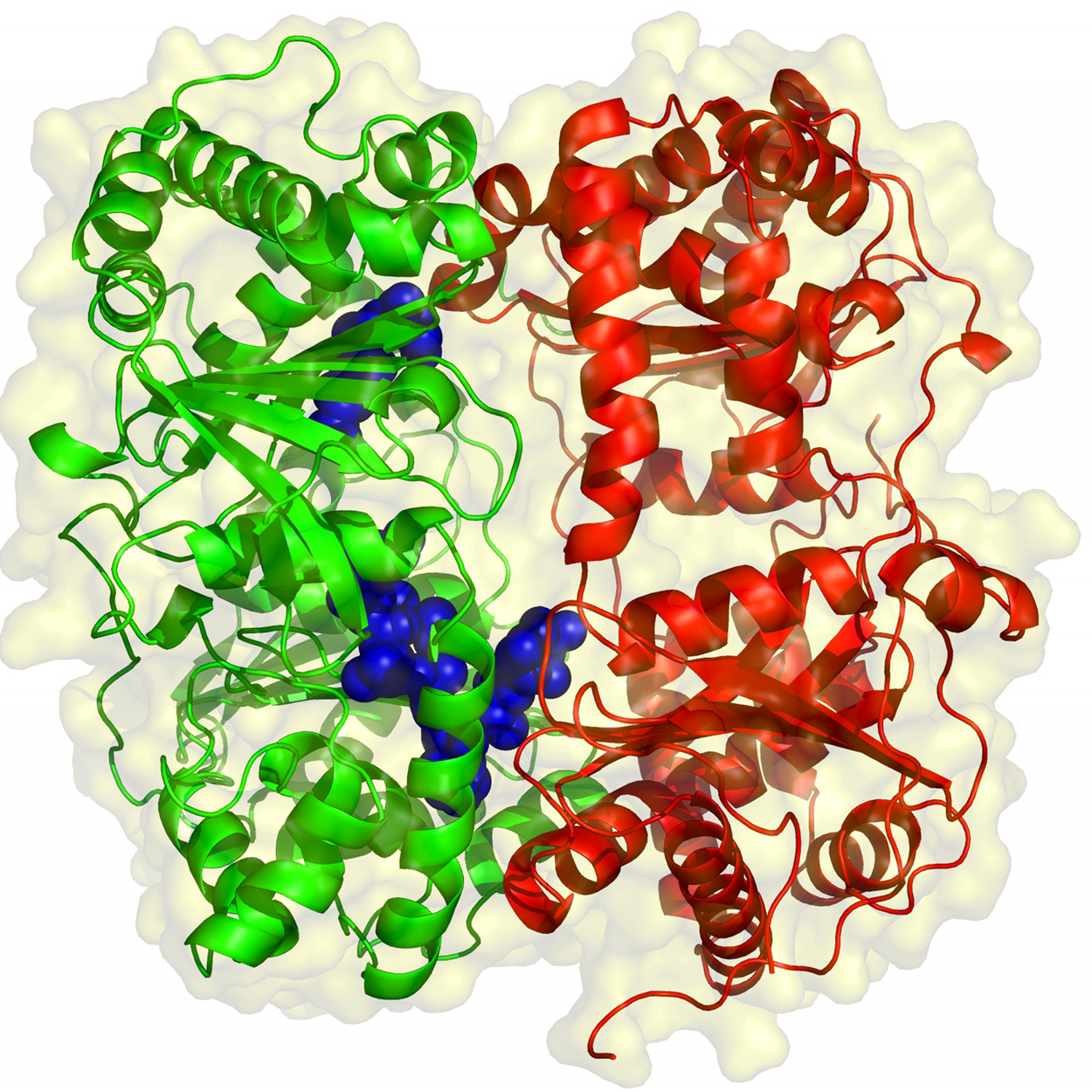 II09 enzyme.png