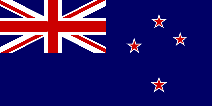 Team Newcastle New Zealand.png