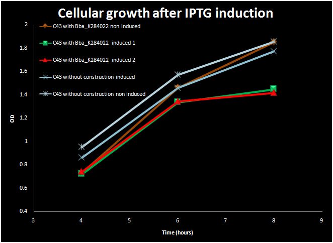 Graph 1. Growth cellular after ITPG induction.JPG