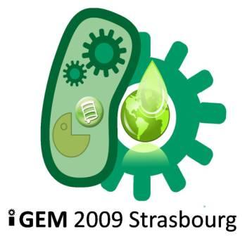 Logo iGEM strasbourgweb.jpg