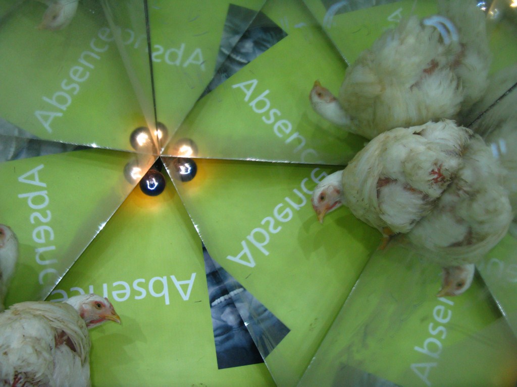 Is a Chicken in a kaleidoscope,ethical Bioart?