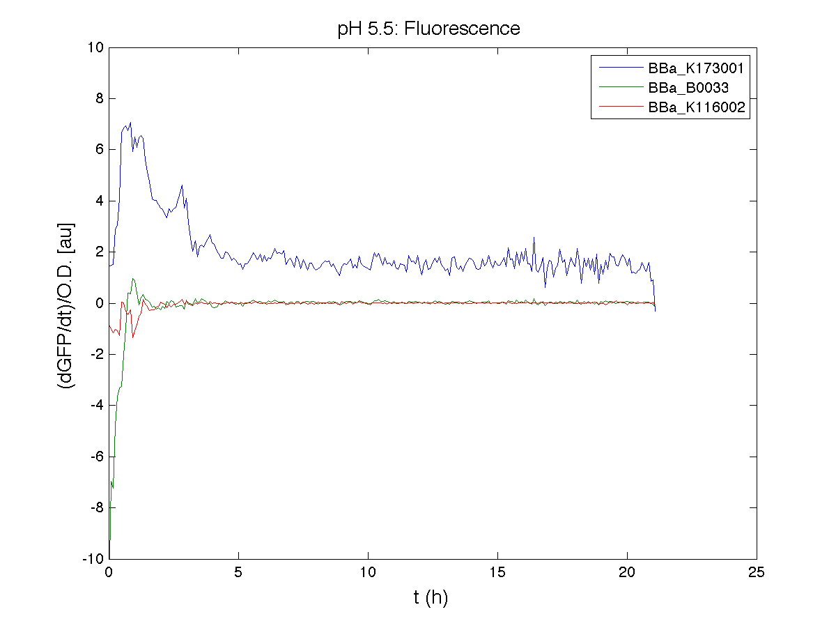 PH 55 Fluorescence exp4.png