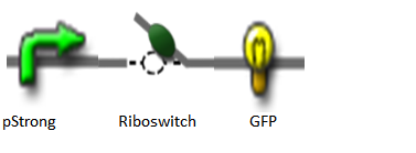 Theophylline Induced GFP1.png