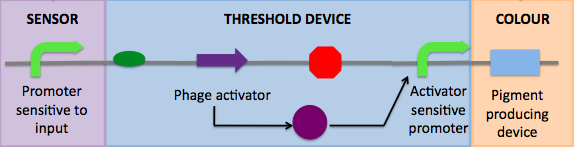 Thresholddevice2.jpg