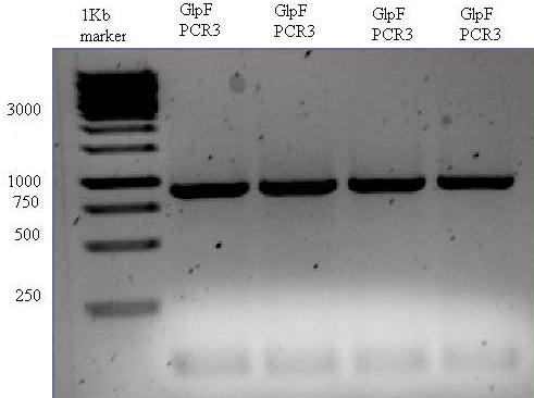 F102471 2009-07-28 16hr 10min PCR3MetFWREV noted.JPG
