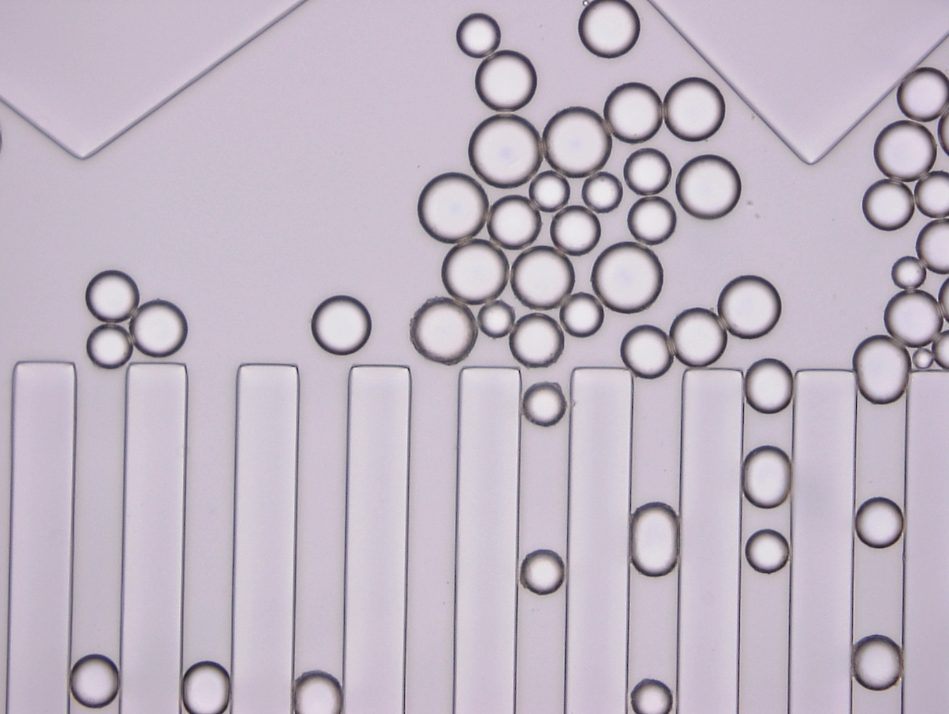 In the figure below vesicles are led into a grid by funnel shaped structures in the flow chamber (top).