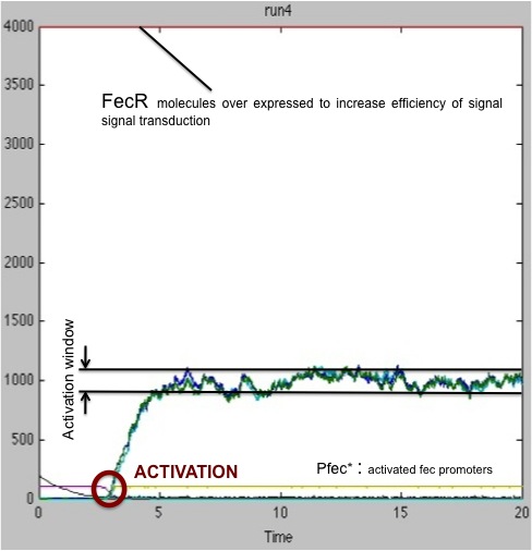 FecA corrigé fluctuation.jpg