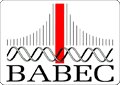 Babec logo.jpg