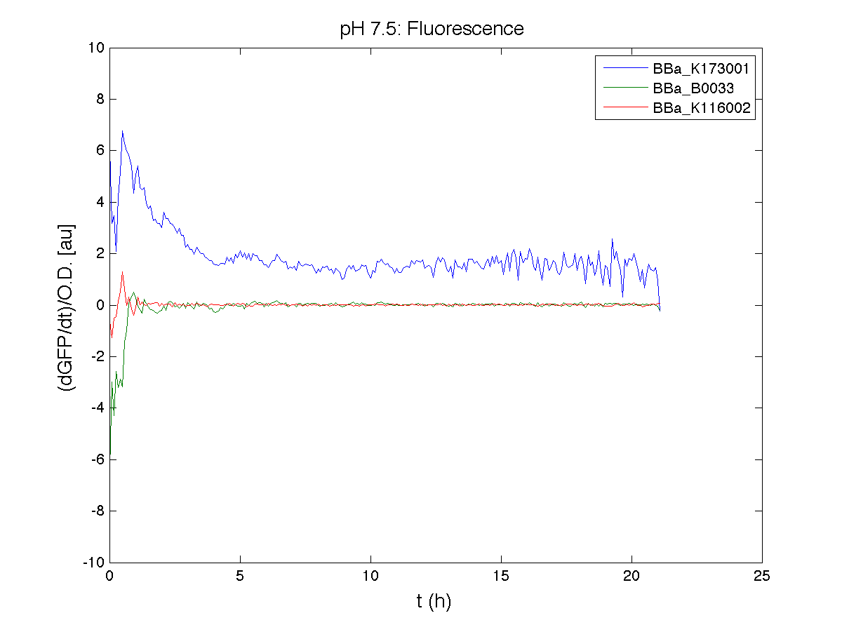 PH 75 Fluorescence exp4.png