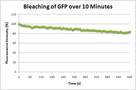 Figure 2: This diagram shows the percent fluorescence intensity versus time of our GFP. The initial fluorescence intensity was set to 100%.
