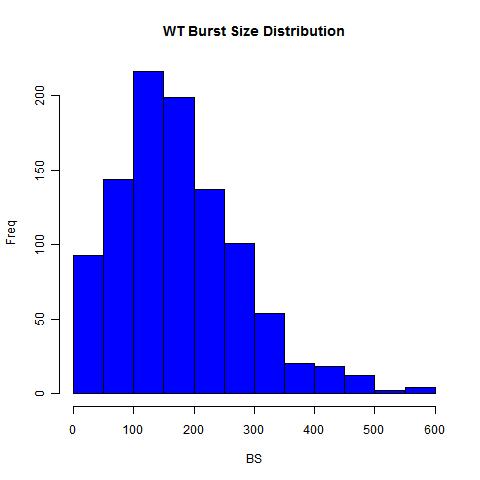 Burst Size Distribution