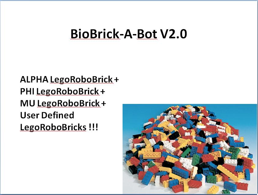 LegoRoboBricks.jpg