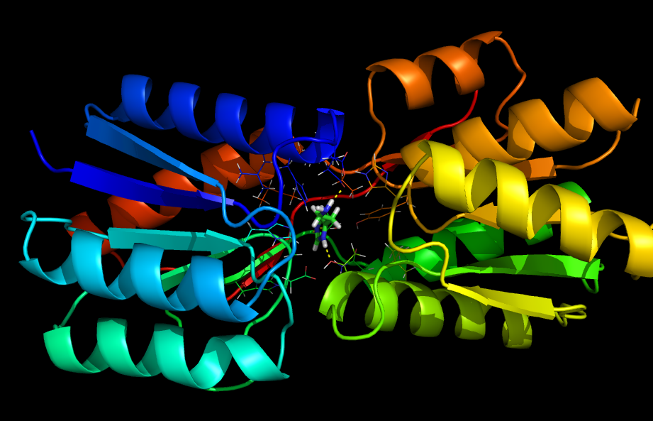 The mutated Ribose Binding Protein